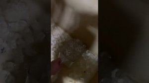 Ледогенератор Simag