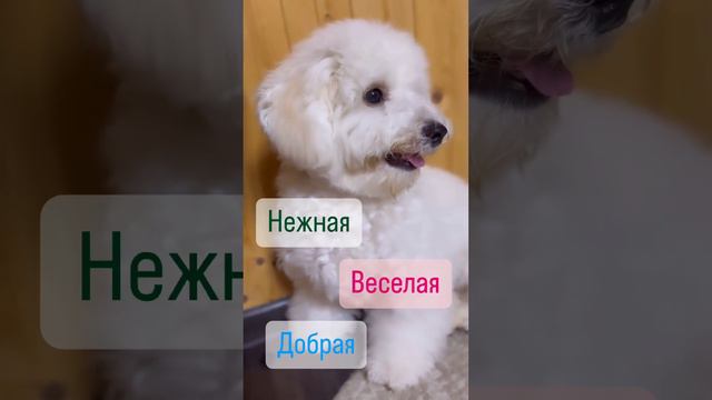 ты такая нежная, добрая ❤️