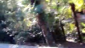 идем в санаторий фрунзе сочи