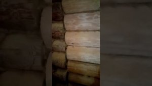 Старый дом шлифовка сруба