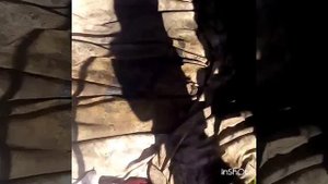 Установка поддона Зил бычок