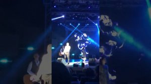 Ялгыз торна» Фирдус Тямаев