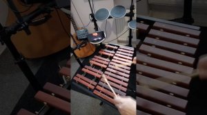 Обучение игре на ксилофоне xylophone music
