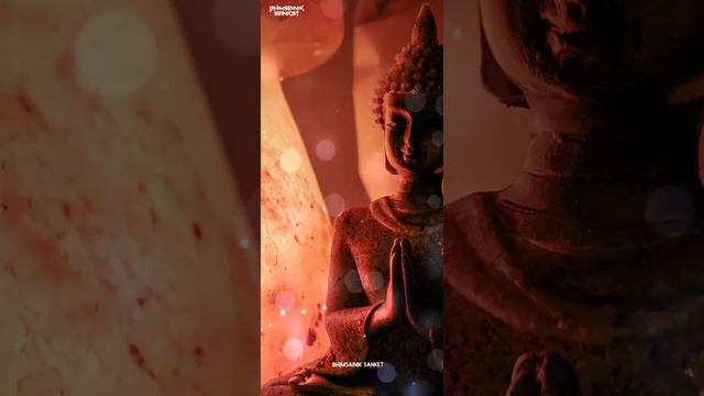 🌺 Dhamma Sakal 4K full screen status // Gautam Buddha 4K full screen status // Lord Buddha status