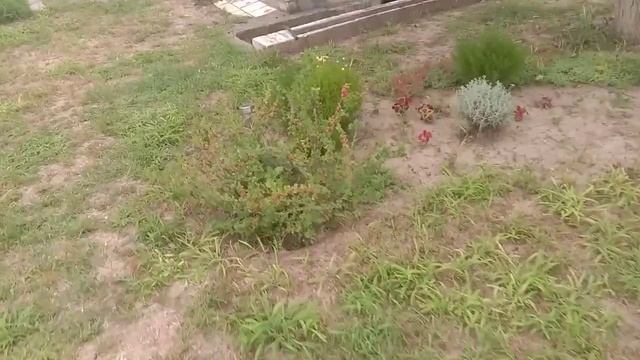 Ловля крота (слепыша). На рыболовные крючки. Часть 2-я.