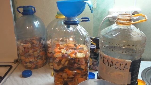 Готовлю ЭНЗИМЫ для сада и огорода