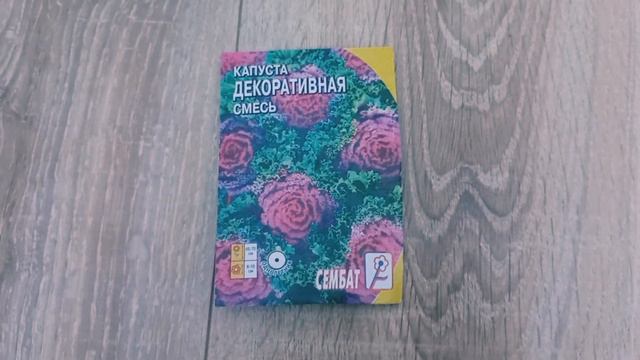 Комнатные растения. Покупки Вайлдбериз, Сима ленд, Фикс прайс!  #обзор#комнатныерастения#покупки