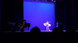 Ballet Swan lake Pas d'ction from Act 2 , Violin Solo by Donghyun Kim