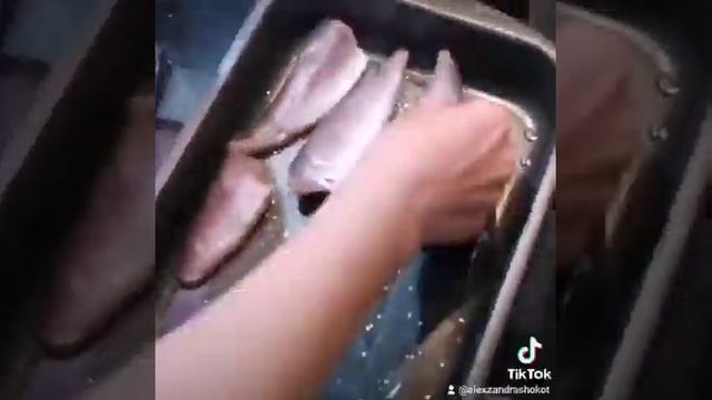 Хек в духовке в томатном соусе! Любит вся семья!