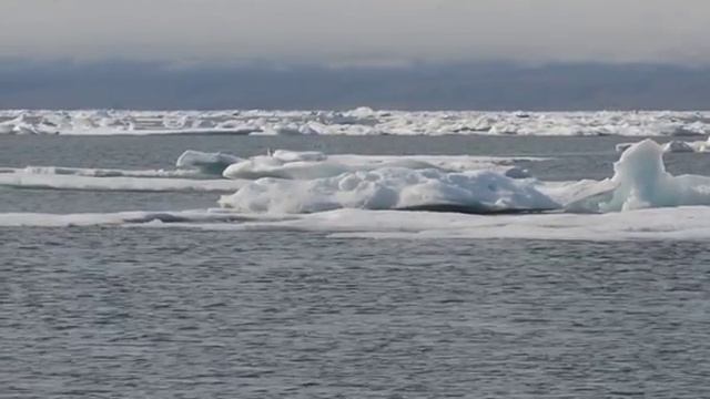 остров Врангеля смотреть онлайн