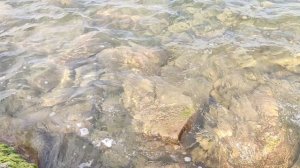 Джубга. Прозрачная вода чуть левее центрального пляжа.mp4