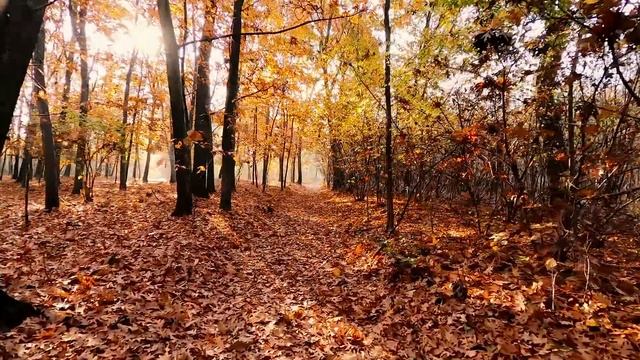 Как вам идти в ногу с Землей смотреть онлайн