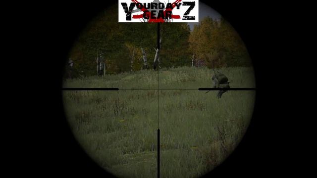 Dayz Standalone - Охота на оленя с АК-74 смотреть онлайн