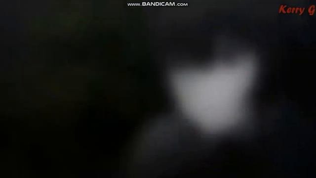 Не я нормальный просто немного ненормальный