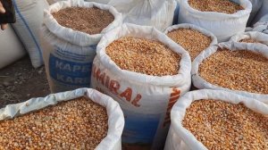 DON NARXLARI, Makka, Bug'doy, Arpa Narxlari FARG'ONA MARG'ILON