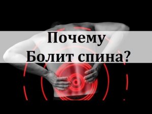 Болит спина что делать