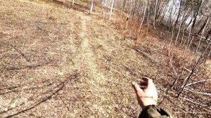 Охота на тетерева, с чучелами. Часть 1.