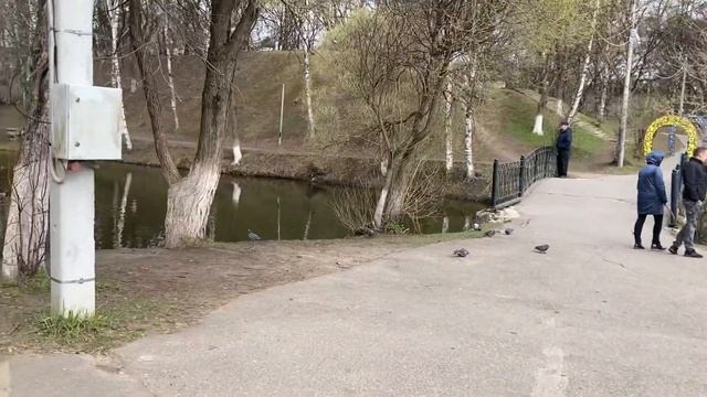 ВОЛЮНТАРИЗМ как причина спора на работе