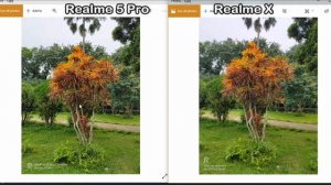 Realme 5 Pro vs Realme X Full Camera Comparision