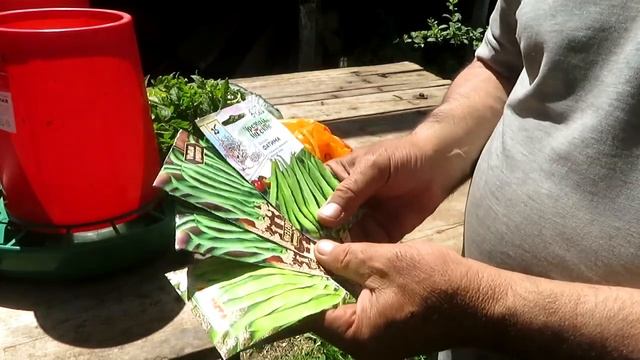 Цветные бройлеры Мастер Грей. Кормление,содержание и уход. смотреть онлайн