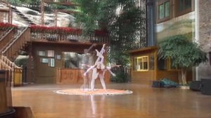 Duo Acrobatic