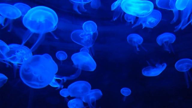 Гармоничная музыка для снятия усталости и расслабления