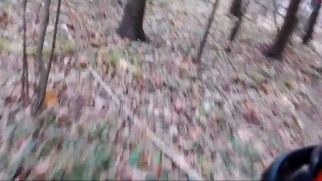 [Покатушки] Лесные Эндуро покатушки irbis ttr 125 смотреть онлайн