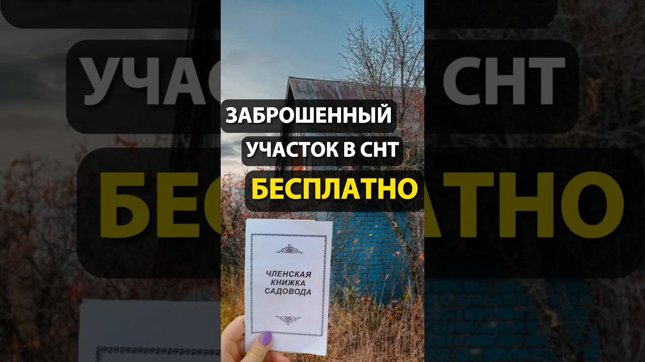 Заброшенный участок в СНТ БЕСПЛАТНО. Как получить? смотреть онлайн