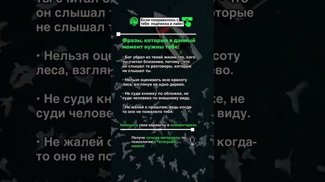 Это нужно тебе сейчас!?