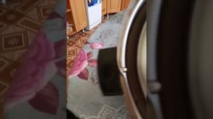 Вывалился клапан Scarlett SL-1529