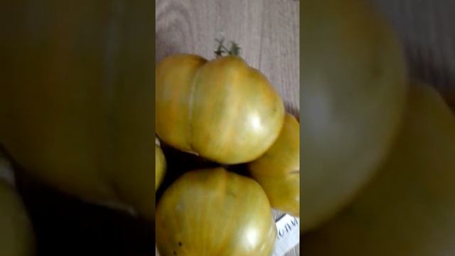 5 декабря 2021 г.Очень урожайные томаты открытого грунта, черноземья. Часть 4. смотреть онлайн