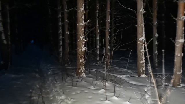 Мы сняли НЛО/Черный ТРЕУГОЛЬНИК в секретной зоне /Часть 3 смотреть онлайн