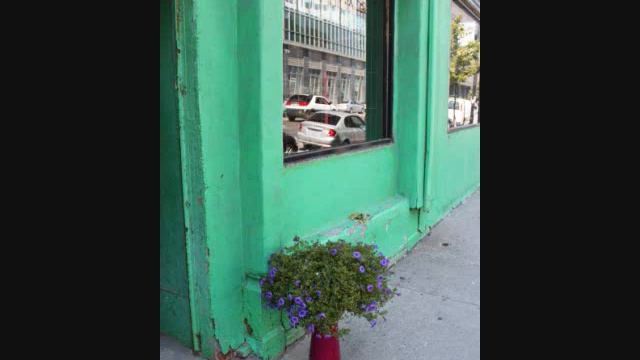 [violin foundation] Les parapluies de Cherbourg смотреть онлайн