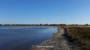 Кинбурнская коса (Kinburn)