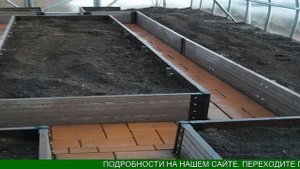 Еврогрядка Из Дпк