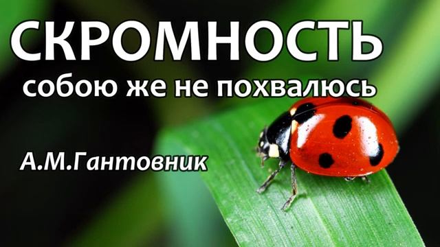 СКРОМНОСТЬ А.М.Гантовник Проповедь МСЦ ЕХБ смотреть онлайн