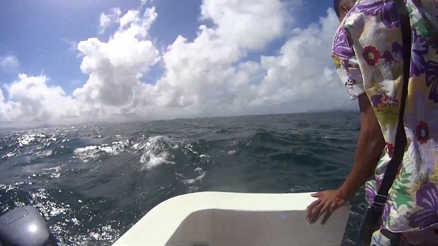 Доминикана, киты приплыли. смотреть онлайн