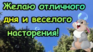 Желаю тебе отличного дня и пусть эта видео открытка принесет радость и позитив! Голосовая открытка