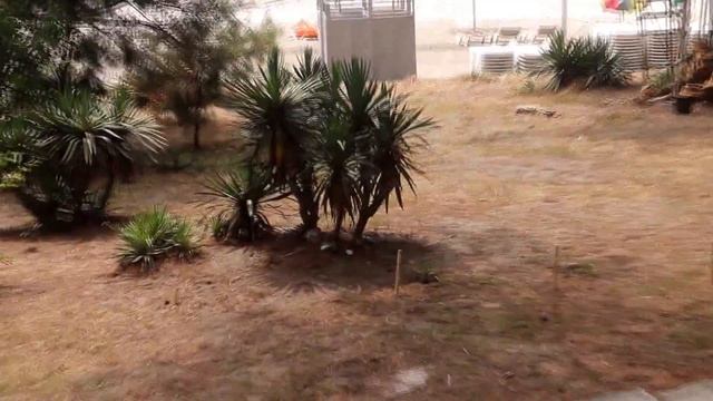 Курорт Пицунда! Абхазия! смотреть онлайн