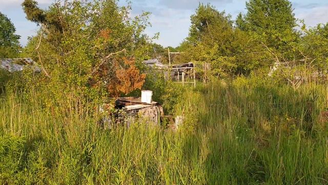 #влог #дача #огород КУПИЛИ ДАЧУ  в Эстонии 13 СОТОК за 9000 Тысяч .ОБЗОР УЧАСТКА. Серия 1.