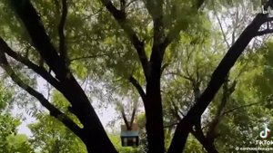 Тик Ток Геншин Импакт №28 / Tik Tok Genshin Impact / тикток геншин / Подборка тик токов геншин