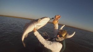 Viking Kayak Fishing - Redfish on the Upper Texas Coast - Hook Spit Performance Rods