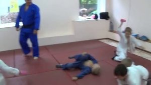 Дзюдо. Дети. 5 - 6 лет.Игра Заморозка .