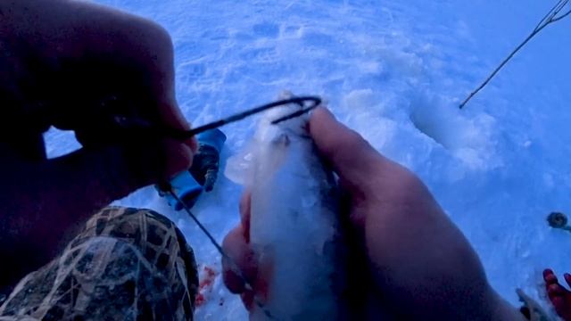 ЖЕСТЬ, А НЕ РЫБАЛКА!!!! МОНСТРЫ  ПРОСНУЛИСЬ В СИЛЬНЫЙ МОРОЗ !!!!!
