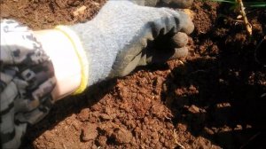 ФИШЕР Ф 70 пробный шурф. Часть 1 №43