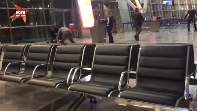 Неадекватный пассажир во Внуково смотреть онлайн