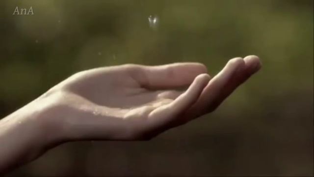 EPHEMEROPTERA ● Jamie Woon - Gravity смотреть онлайн