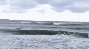 У любви зимой - короткий век... чудный баритон- слушать надо