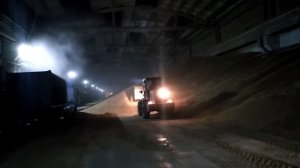 Погрузка зерна на погрузчике MEGAMAX GL 300E