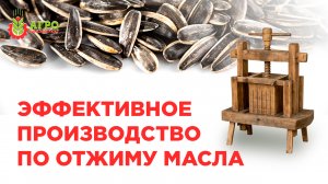Пять способов повышения эффективности действующего производства по отжиму масла.
